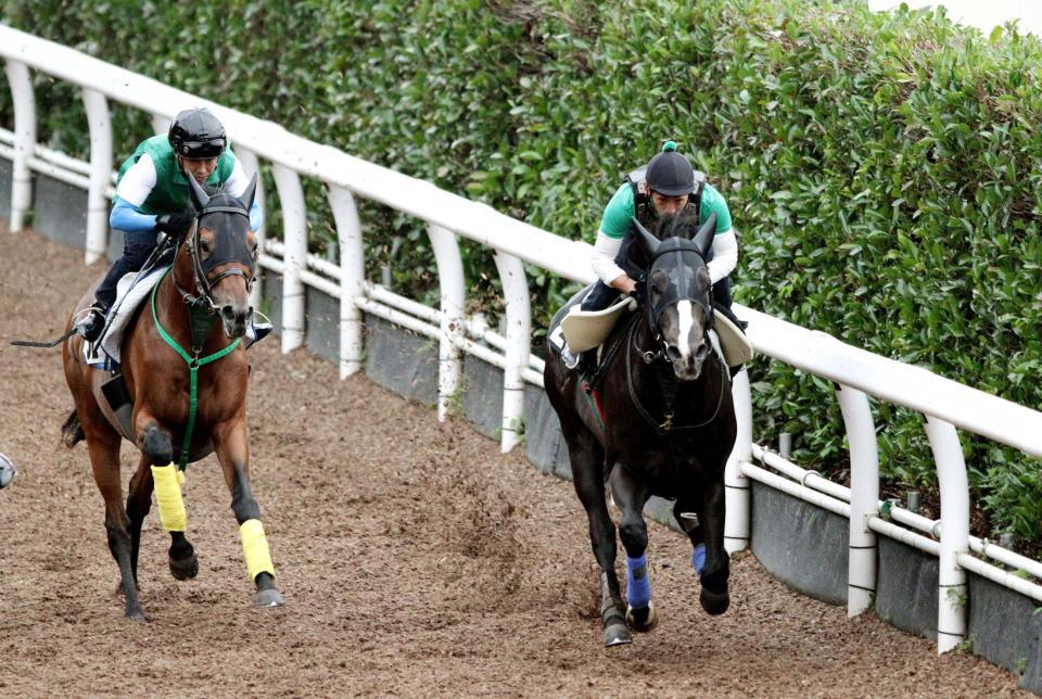 　僚馬にきっちり先着を決めたブラックスピネル（右）