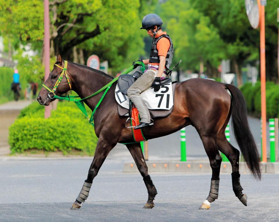 　４連勝での重賞初Ｖを狙うキングズガード