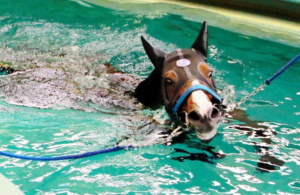 　中間はプール調教を取り入れているリヤンドファミユ