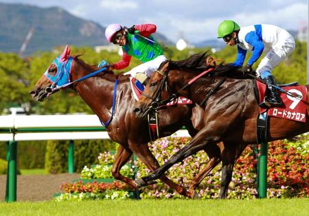 ロードカナロアを下してセントウルＳを制したハクサンムーンと酒井＝2013年９月８日、阪神競馬場