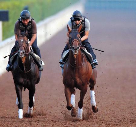 　栗東坂路を馬なりで駆け上がるベルカント（右）。引き続き気配は絶好だ