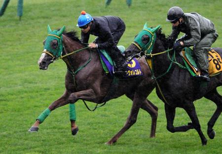 　吉田隼を背に札幌芝で併せたヌーヴォレコルト（左）