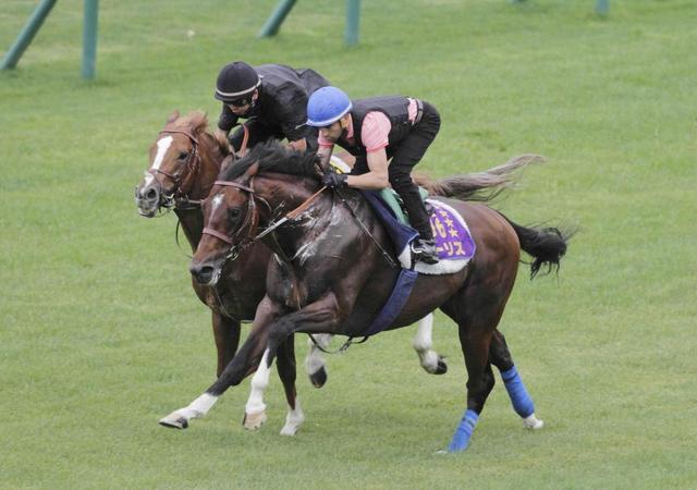 【札幌記念】モーリス劇走　モレイラと文句なしの最終デモ