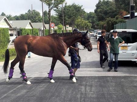 　友道師（右）に見送られ、馬運車へと向かうマカヒキ