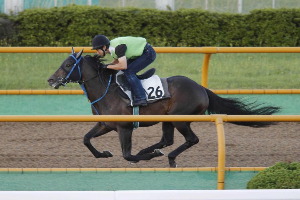 　函館Ｗを駆けるアクティブミノル。この日のうちに札幌へ向かった