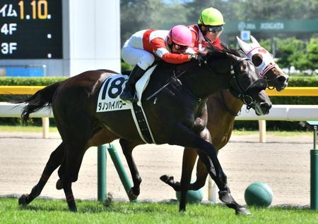 粘るイパネマビーチ（奥）をクビ差かわして新馬勝ちのダノンハイパワー＝新潟競馬場