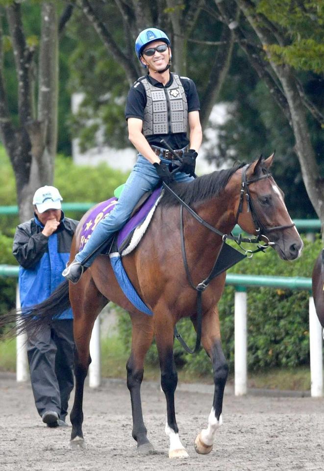 　秋の始動戦を迎えるディーマジェスティ