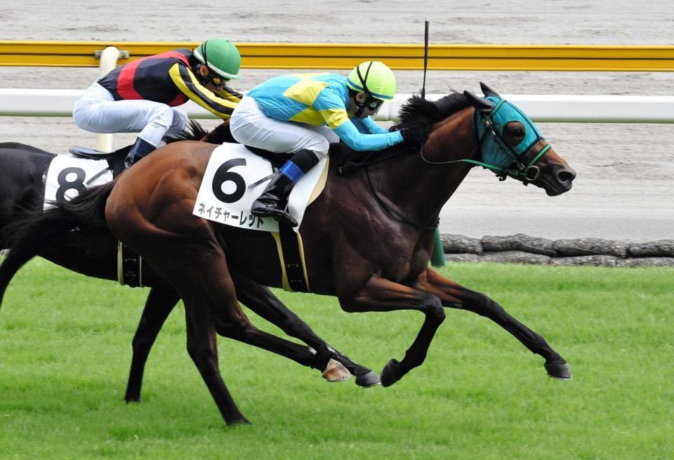 　野中の手綱で２勝目を挙げ、重賞に挑むネイチャーレット