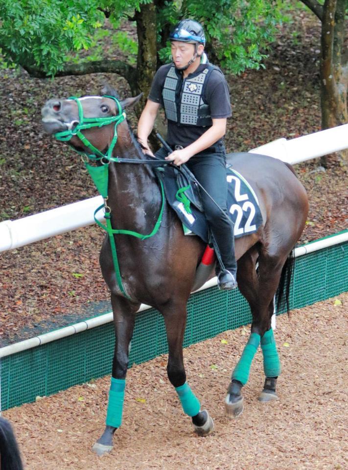 　調子を上げてきたカイザーバルが２強に割って入るか（撮影・石湯恒介）