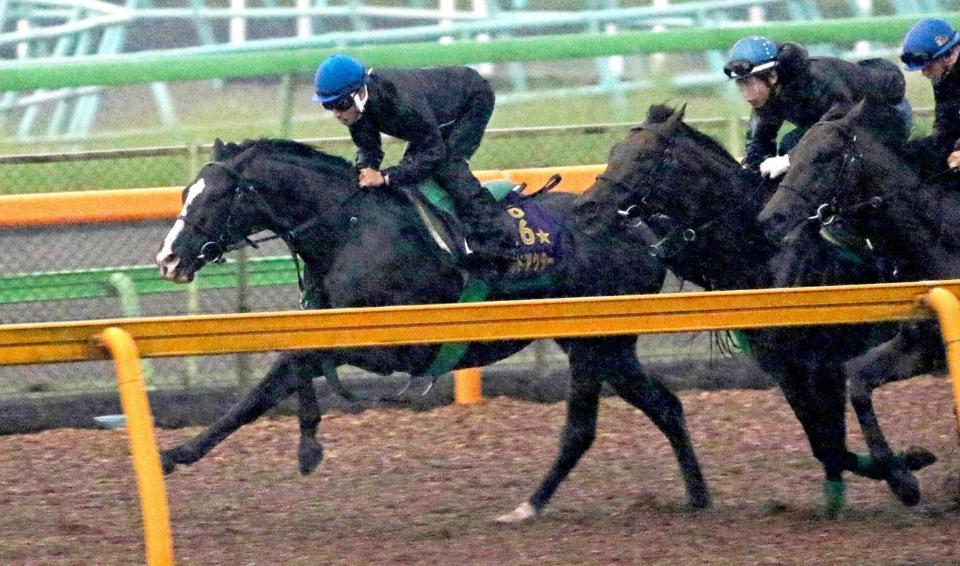 　雨の中、吉田隼を背に美浦Ｗで併せ馬を行ったゴールドアクター（左）