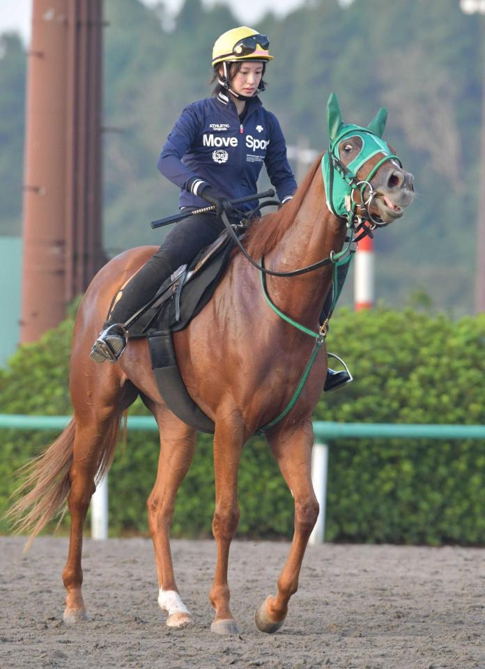 いよいよデビュー プリンちゃん 菜七子で勝利を目指す 競馬 レース デイリースポーツ Online