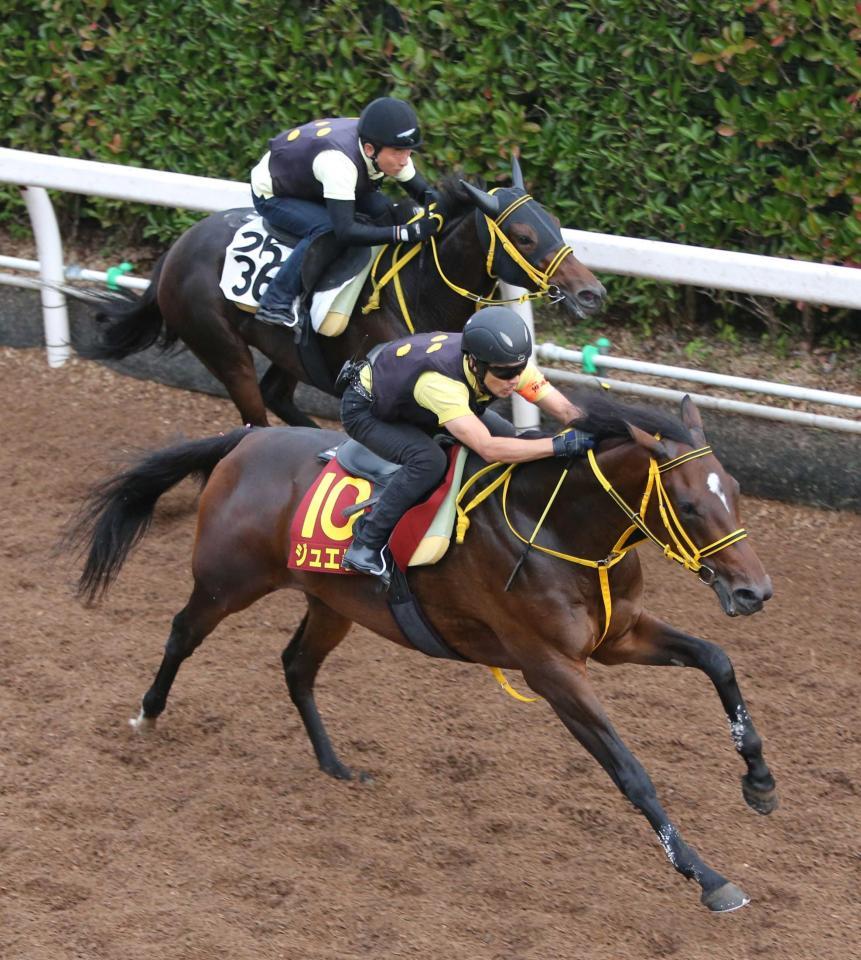 　栗東坂路で追い切るジュエラー（手前）