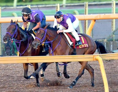 　秋華賞へ向けて、美浦Ｗで順調な仕上がりを見せるビッシュ（右）