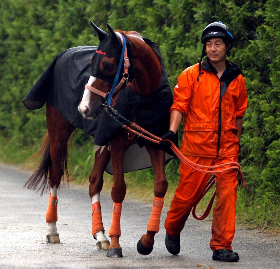メルボルンＣ参戦を予定しているカレンミロティック