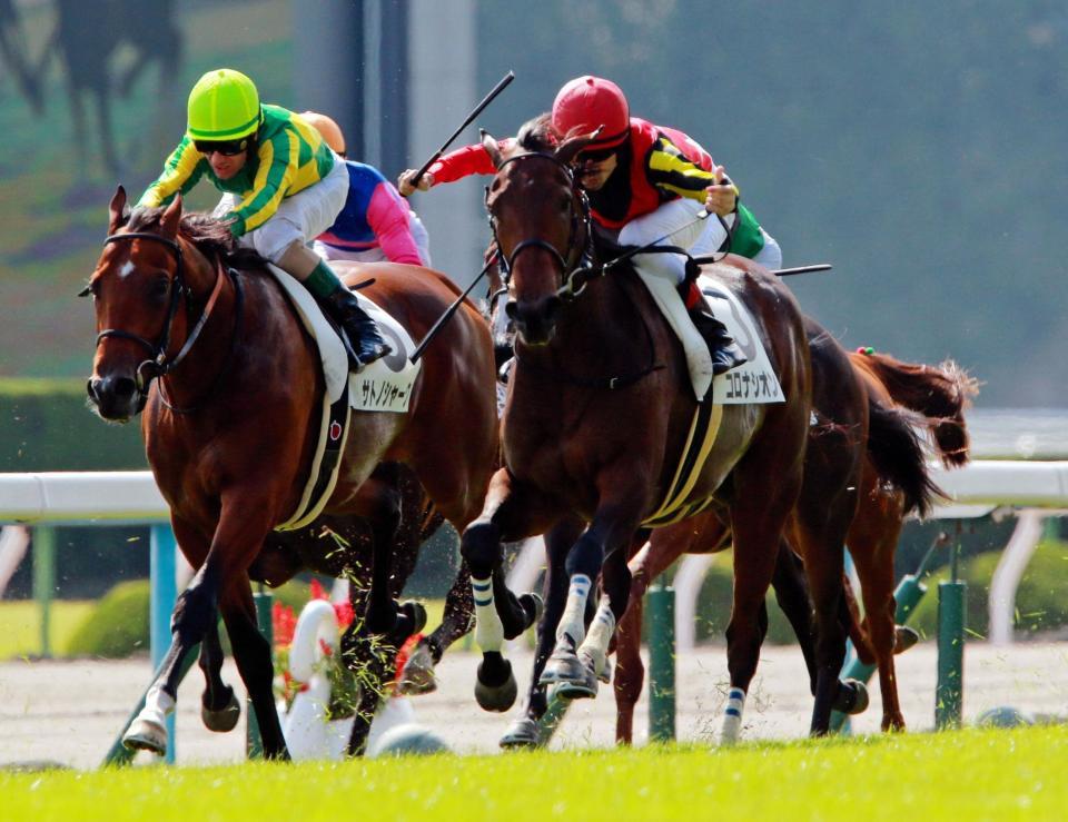 母譲りのキレを見せるコロナシオン（右）＝京都競馬場（撮影・石湯恒介）