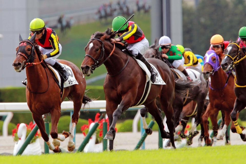 鋭いキレを見せるアルアイン（中央）＝京都競馬場（撮影・石湯恒介）