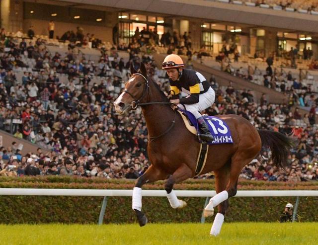 ストレイトガールが引退式 戸崎圭背に“ラストラン”/競馬・レース/デイリースポーツ online