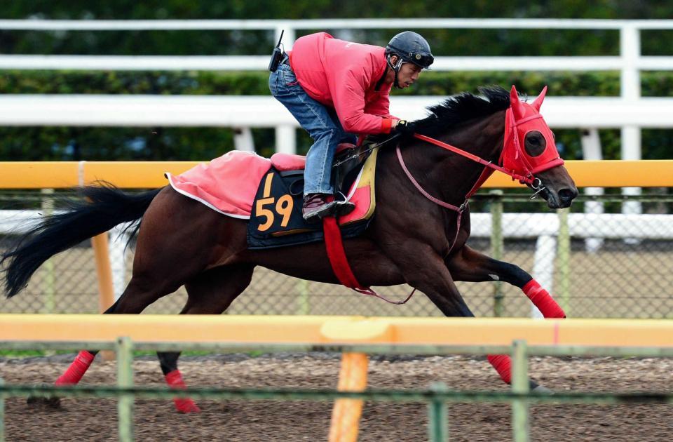 　大物感漂うヴェルラヴニール