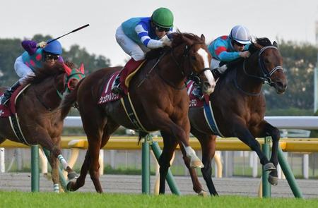 直線抜け出し、アルゼンチン共和国杯を制したシュヴァルグラン（中央）＝東京競馬場