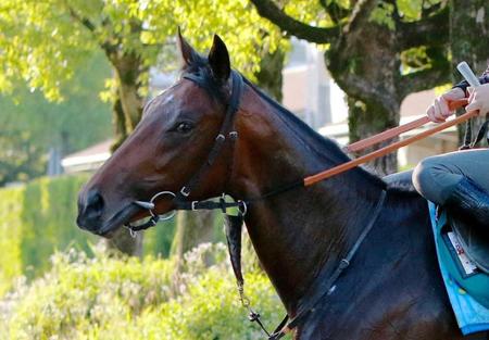 　無傷３連勝を狙うジューヌエコール