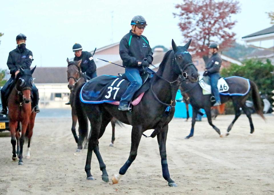 　無傷２連勝で重賞Ｖを狙うリナーテ