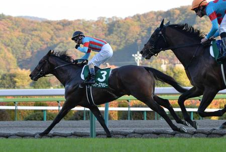 　鮮やかな逃走劇を演じたマルターズアポジー