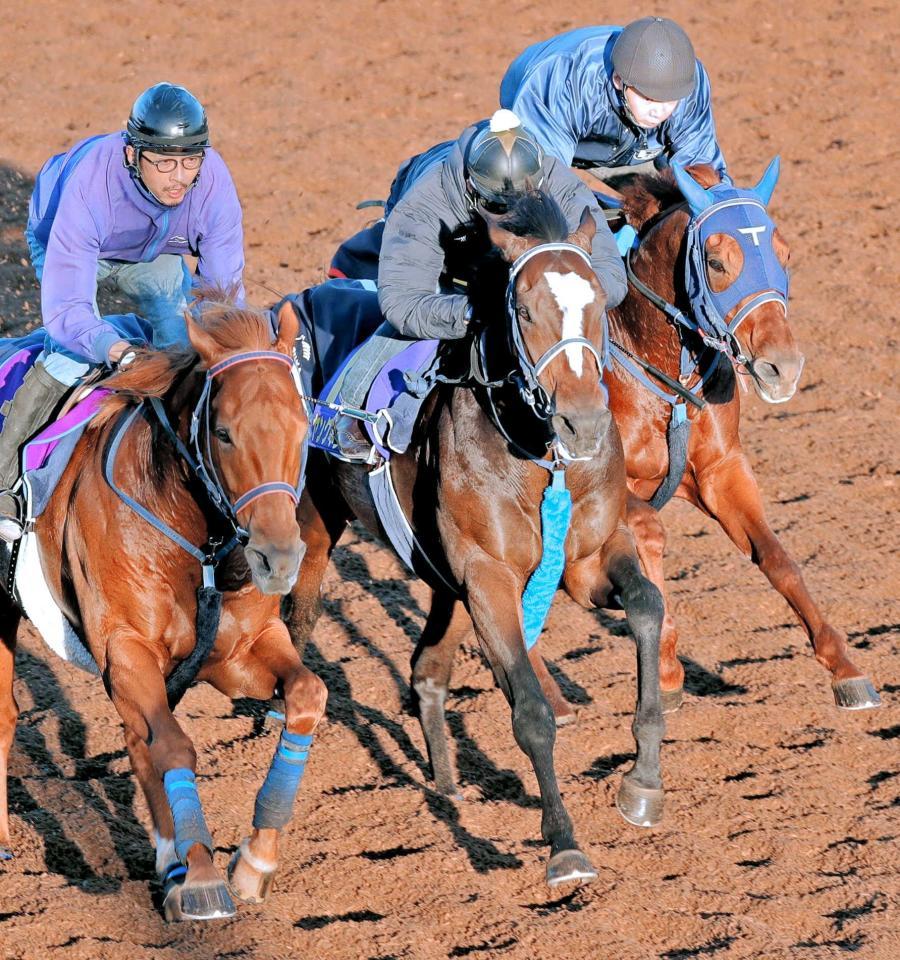 　３連勝の勢いは本物。美浦坂路で抜群の動きを誇示したヤングマンパワー（中）