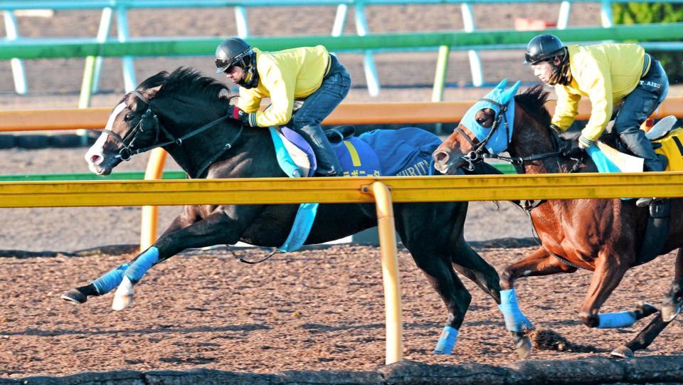 　美浦Ｗで併せ馬。復活Ｖへの下地を整えたイスラボニータ（左）