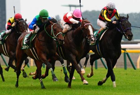 １１Ｒ、東スポ杯２歳Ｓを制したブレスジャーニー（左）＝東京競馬場（撮影・三好信也）