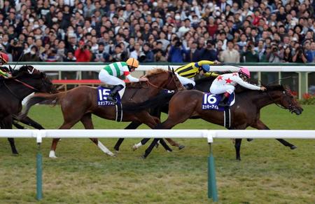 ゴール前で激しく競り合いマイルＣＳを制したミッキーアイル（右）＝京都競馬場（撮影・山口登）