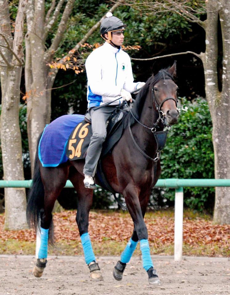 　実戦での勝負強さに期待が集まるオーロラエンブレム