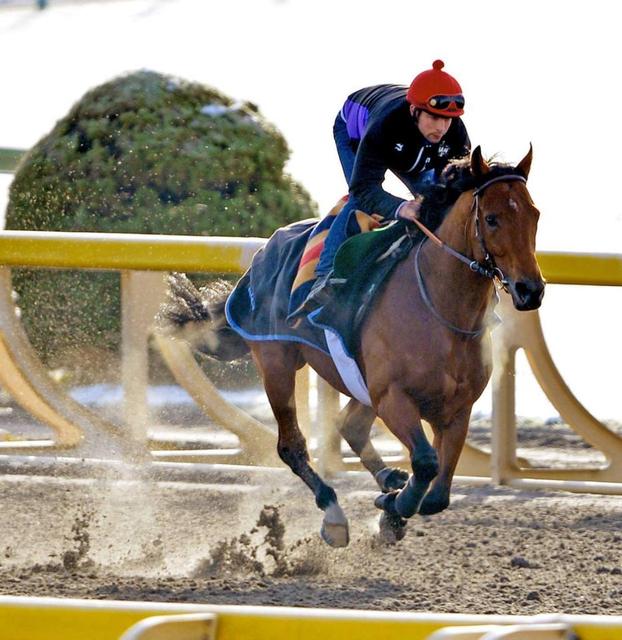 【ＪＣ】２３歳ブドーがイラプトをＶへ導く　“欧州最多勝”記録の若き天才