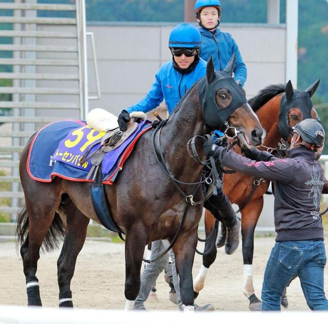 【ＪＣ】トーセンバジル　目下３連勝中の上がり馬、強敵相手にどこまで戦えるか