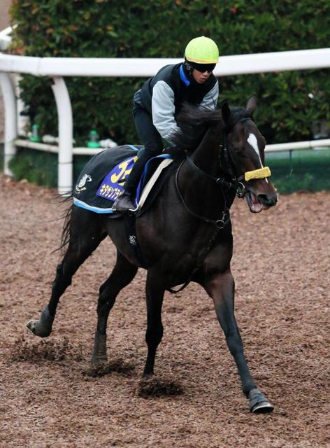 【ＪＣ】キタサンブラック 内枠から自在性生かす　１枠１番は３戦３勝の絶好枠