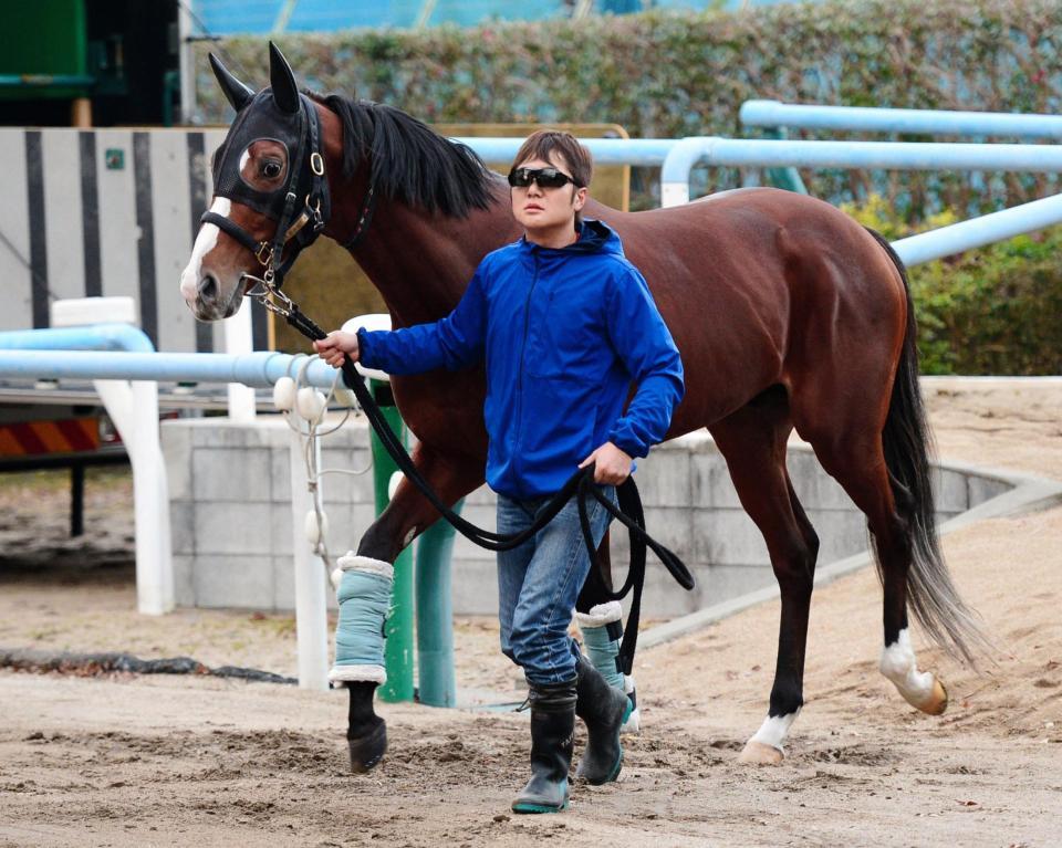 到着したレインボーライン＝東京競馬場（撮影・三好信也）