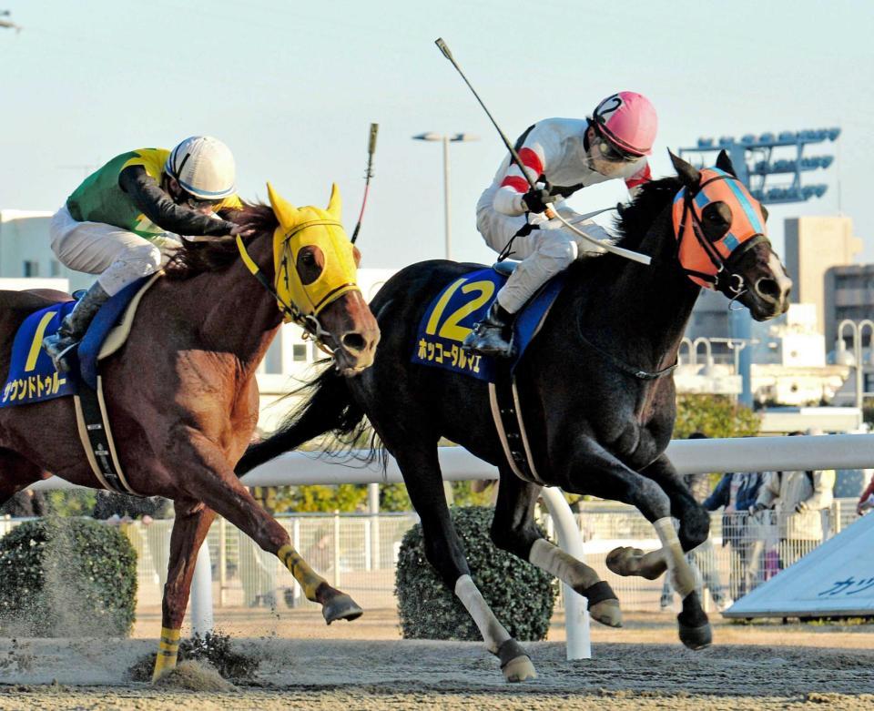 　川崎記念を制してダートＧ１・１０勝目を挙げたホッコータルマエ＝１月２７日、川崎競馬場