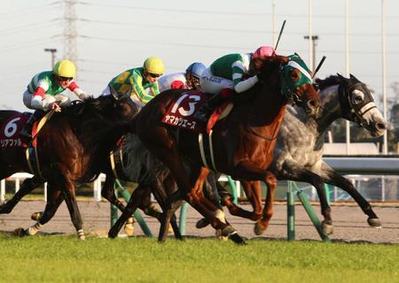 　久々の重賞Ｖを決めたヤマカツエースと池添（右）　