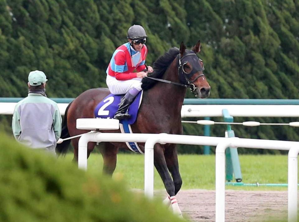 　２着に敗れ、引き揚げるアウォーディーと武豊