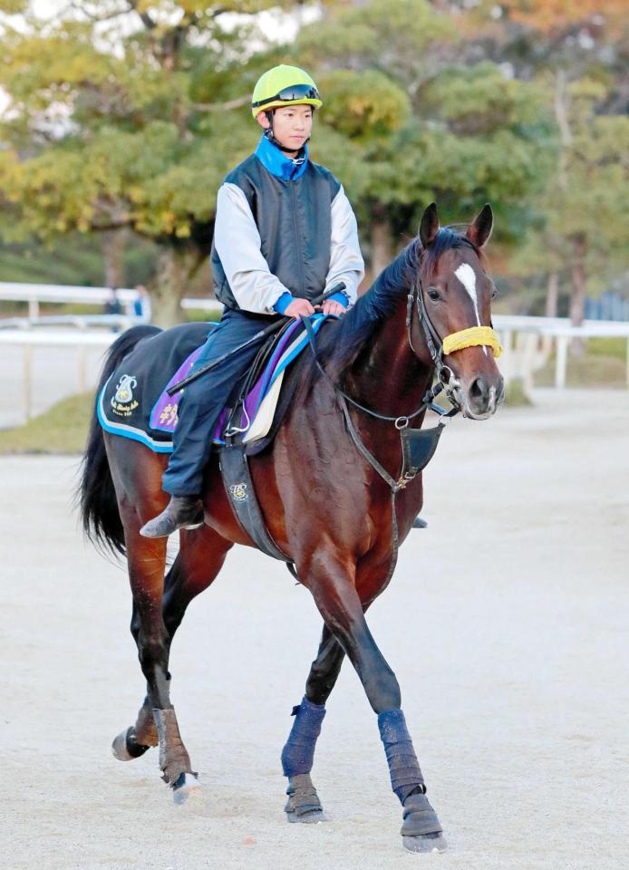 　有馬記念ファン投票第１位となったキタサンブラック