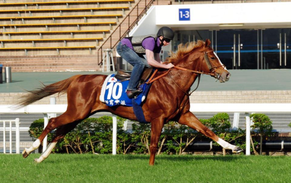 香港マイル ネオリアリズム ムーアが太鼓判 マイルｃｓのうっぷん晴らす 競馬 レース デイリースポーツ Online