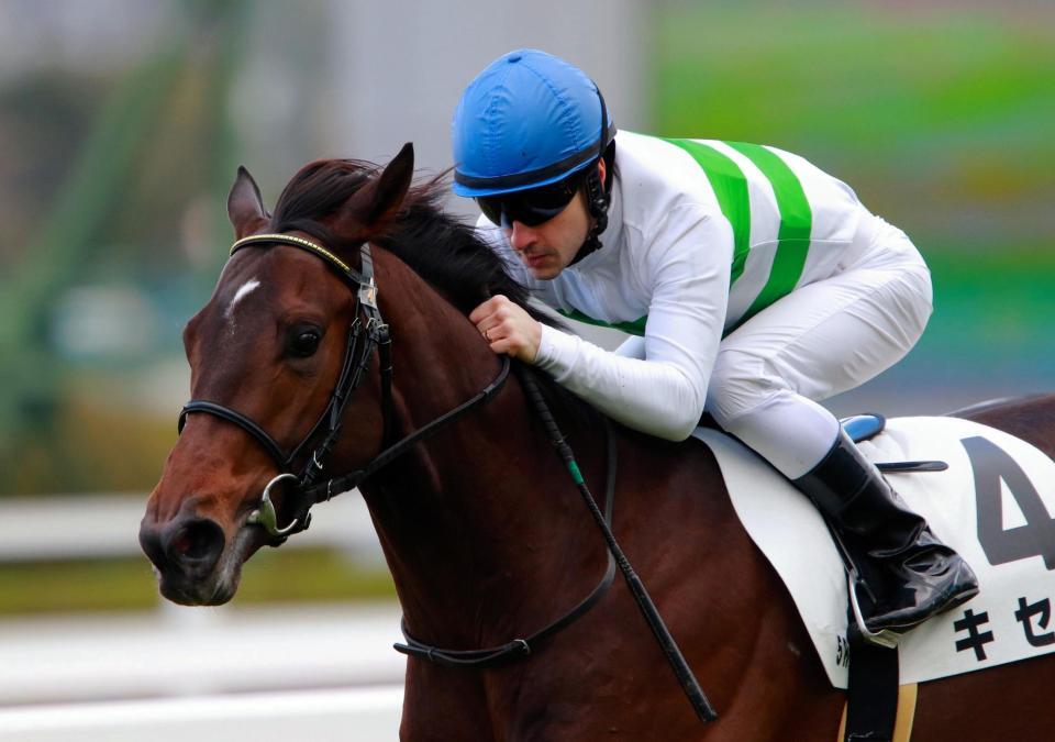 pog キセキが新馬v 強かった とルメール 競馬 レース デイリースポーツ Online pog キセキが新馬v 強かった とルメール 競馬 レース デイリースポーツ Online