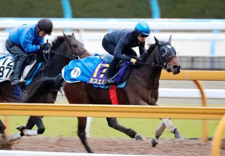 　栗東ＣＷで鋭い動きを披露したミスエルテ（右）