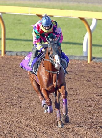 　栗東ＣＷを力走するシュヴァルグラン