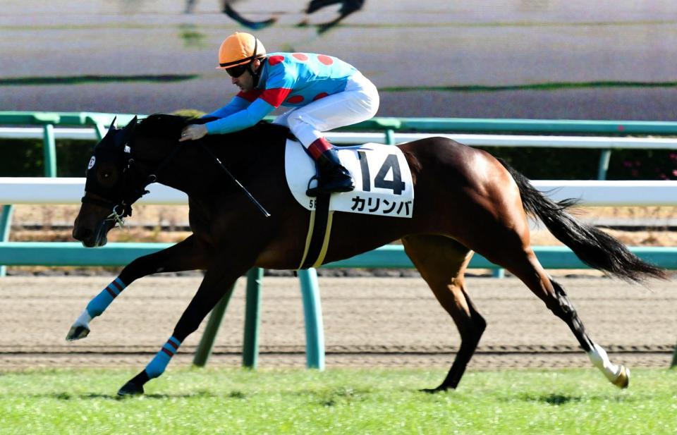 ｐｏｇ カリンバ快勝 皐月賞馬の全弟ディーグランデは振るわず６着 競馬 レース デイリースポーツ Online