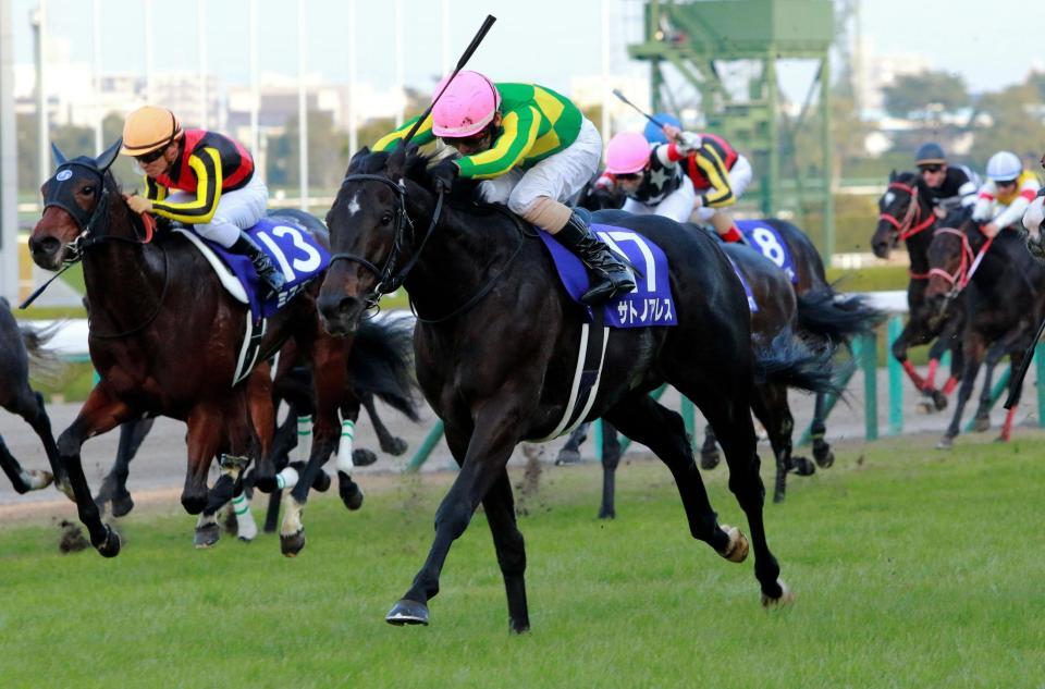 馬場の外目から豪快に差し切るサトノアレス（中央）＝阪神競馬場（撮影・石湯恒介）