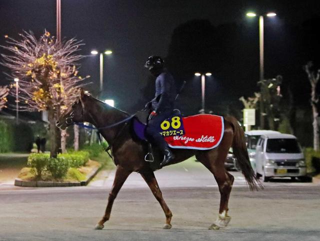 【有馬記念】ヤマカツエース　馬体戻って重賞２勝の得意コースへ　カギは距離