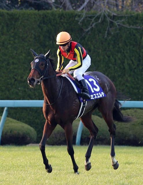 【朝日杯ＦＳ】ミスエルテ　末脚不発で４着　怪物娘に牡馬の壁厚く…