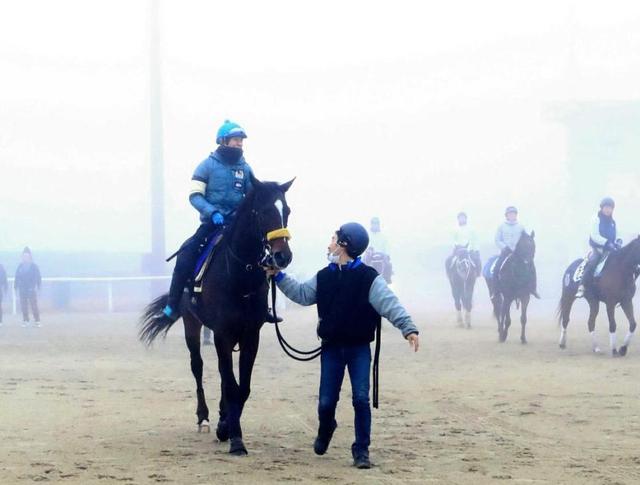 【有馬記念】キタサンブラック最高の状態キープ　充実の４歳、今年の集大成見せる