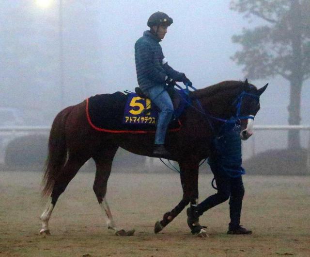 【有馬記念】アドマイヤデウス気合乗り良し　グランプリでの大番狂わせへ準備万端