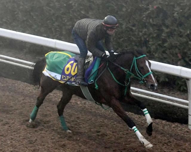 【有馬記念】デニムアンドルビー復活の気配　仕上げも好感触「ガラッと変わった」